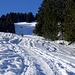 Oft parallel: eine Schneeschuh- und eine Skispur. Auf rund 1500m.