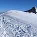 Gipfelplateau des Alphubel 4206m
