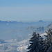 im Aufsteig zur Neppenegg: winterliche Luftspiegelung. Links das Schnebelhorn (1292 müM), in der Mitte (mit dem UFO in der Luft) der namenlose Punkt 1126 müM südöstlich der Hirzegg, und rechts hat sich der Roten (1148 müM) aufgetürmt.