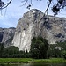 El Cap - the striking line in the center is "The Nose". 