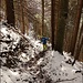 Die letzten Meter durch den Wald verlaufend skischonend...