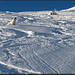 Der Hund begutachtet die Spuren der Skifahrer (Telemark, Typ 1938/Riemlibindung).