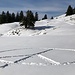 Botschaft im Schnee...