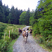 Auf dem Weg zum Kletterweg hatte ich eine Zeit lang eine klingelnde Begleitung.