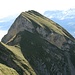 Die Burg. Das Fixseil befindet sich in der Falllinie des Gipfels bei der steilen Grasstufe, welche das Felsband unterbricht.