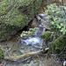 A small cascade. The branches are covered with limescale deposit.