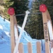 Schlittenfahrt vom Skihaus Pirigen nach Langwies