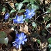 Teneri... la primavera è in arrivo!