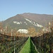 <b>Croci d'Occo e Alpe Caviano in una foto d'archivio del 17.11.2001.</b>