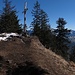 Auf dem Wildbarren - seit meiner Begehung im Jahre [http://www.hikr.org/tour/post12725.html 2009] wurde der Gipfel erheblich ausgeholzt und dadurch die Rundsicht verbessert.