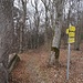 Hinter dem Peilsteinhaus führt der Weg in den Wald; die gelben Markierungen leiten zum Klettersteig