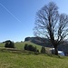 Tüfenberg: Blick zurück zum Hinterberg