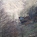 die Hütte auf der Alpe di Pugerna - das kurze Stück bis hinüber kann man sich sparen, denn bereits hier zuvor geht es rechts ab zum Grat 