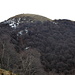 Monte Ferraro