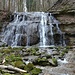 Jeder Wasserfall im Erlenbachertobel hat seinen besonderen Reiz, hier mit den vielen moosbwachsenen Steinen im Bachbett