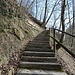 218 Stufen führen hinauf zum Schübelweiher