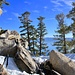 Typical Sierra/Tahoe scenery