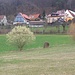 Weißenbach