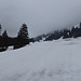 viel Nebel,wenig Schnee und ein Skilift