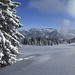 Das Wald-Wild-Schongebiet Obere Kierwanger Alpe