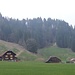 hinter Obersagen (Hof mit gelben Fensterläden) führt der oft kaum mehr ersichtliche Weg diagonal nach rechts in den Wald und oberhalb der Bachmattenweid (Hof rechts, mit weissen Alpacas) zum Grat