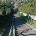 la famosa scalinata della Cross Country dei " 7 Campanili ". Oggiona Santo Stefano confine con Cavaria con Premezzo.