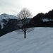 Blick zurück: Cheibehorn von der Alp Gurschwald aus gesehen