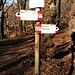 Eccomi al Passo Varrò.