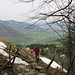Eintritt in die Waldpassage zwischen Alp Cher und Bärstein