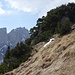 Bogartenfirst - der Gipfelkopf