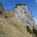 Wir stiegen von der Alp Bogarten zuvor direkt entlang der Felsen der Föhrenkante ab.