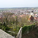 Ausblick von der Schlossbergruine auf Herrenberg mit Stiftskirche