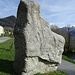 Dieser Findling unterhalb dem Hallenbad Amden wurde vor 16000 Jahren aus dem Val Punteglias im Vorderrheintal vom Rheingletscher  bis nach Amden transportiert.