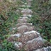 Treppenweg zwischen Amden und Weesen
