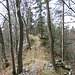 Ein schön angelegter Wanderweg führt entlang der bewaldeten Krete.