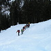 Un bel gruppo di scialpinisti/snowborders ci segue