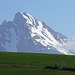 Der Wildhuser Schafberg, von der Alp Scharten aus gesehen
