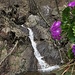 ....camminando altri 10 minuti dal rifugio, si arriva a qs bellissima cascata,in estate è un vero toccasana