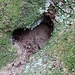 Herzliche Natur