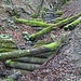 Im Grüenholzbach, einem Zubringer des Hoheneggbaches, liegt viel Holz