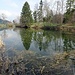Farenweiher auf dem Farnbööl im Neuthal
