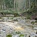 Im Wissenbach, wenige Meter unterhalb des grossen Giessen