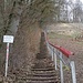 Über diese Treppen führen die letzten Meter zur Stollburg.