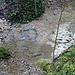 Der Lochbach fliesst wie viele andere Bäche im Tössbergland in einem Sinterkalk-Bett