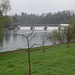 Brücke beim KW Rheinau