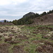 Der bewachsene Krater, dahinter (rechts) erhebt sich der Puy Chopine (1181m).