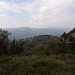 Typische mediterrane Vegetation oberhalb des Var-Tals.
