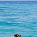 Artus schwimmt im Golf von Orosei.