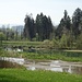 Der Flachsee in der Reuss