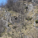 la via di salita ai corti dell'alpe della Bèdu vista dal Caurgh (Emiliano è un ottimo punto di riferimento)